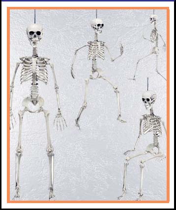 Esqueletos y calaveras para halloween originales